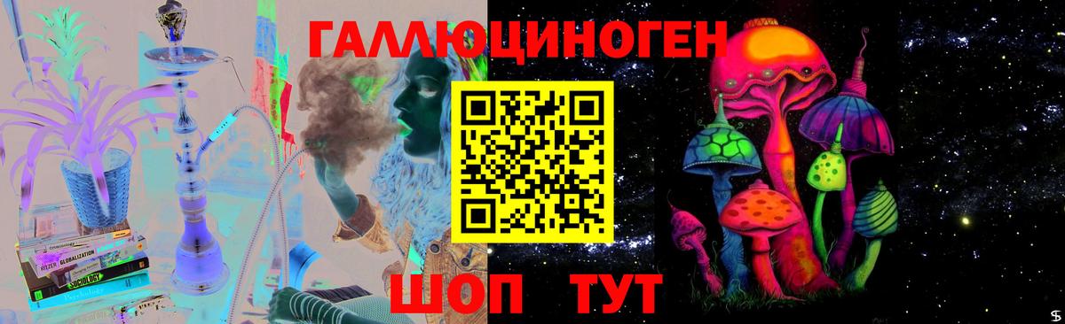 Псилоцибиновые грибы Psilocybine cubensis  Вход с VPN  Ачхой-Мартан 